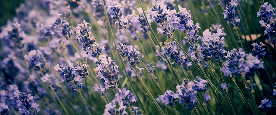 服务器攻击方式